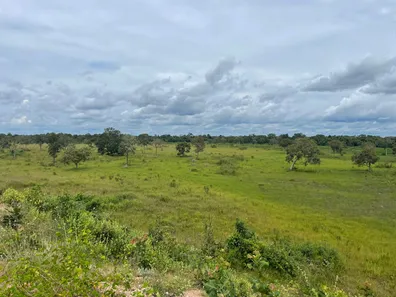 Fazenda / Sítio / Chácara com 3 Quartos à venda, 12899920m² no Setor Central, Divinópolis do Tocantins