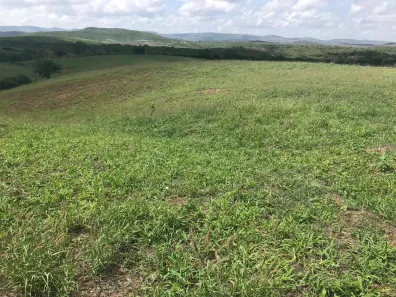Fazenda / Sítio / Chácara à venda, 160000000m² no , Areia