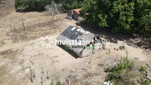 Fazenda / Sítio / Chácara à venda, 344m² no Centro, Pium