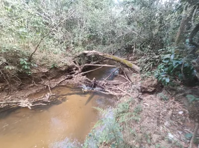 Fazenda / Sítio / Chácara com 4 Quartos à venda, 20000m² no , Brasília