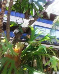 Cobertura com 2 Quartos para alugar, 230m² no Recreio dos Bandeirantes, Rio de Janeiro