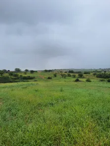Fazenda / Sítio / Chácara com 4 Quartos à venda, 5500000m² no Centro, Ielmo Marinho