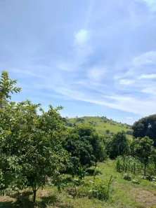 Fazenda / Sítio / Chácara com 1 Quarto à venda, 5000m² no condomínio chácaras Itaúna, Ibiporã