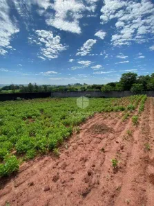 Terreno / Lote / Condomínio à venda, 1636m² no Floraí, Floraí