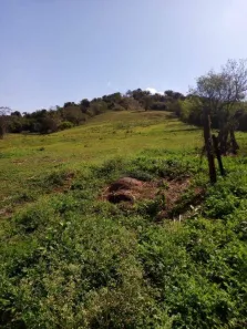 Terreno / Lote Comercial à venda, 24200m² no Pinheiro, Ibiporã