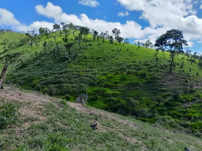 Fazenda / Sítio / Chácara com 3 Quartos à venda, 2565000m² no , Padre Bernardo