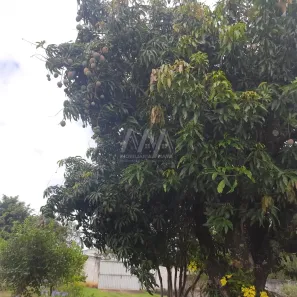 Fazenda / Sítio / Chácara com 2 Quartos à venda, 125m² no Parque Monte Bianco, Araçoiaba da Serra