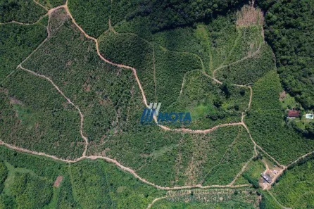 Fazenda / Sítio / Chácara com 3 Quartos à venda, 600m² no Antonina, Antonina