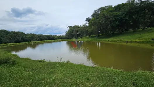 Fazenda / Sítio / Chácara com 6 Quartos à venda, 250m² no Área Rural de Araucária, Araucária