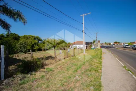 Terreno / Lote / Condomínio para alugar, 1502m² no Camobi, Santa Maria