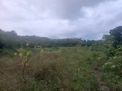 Fazenda / Sítio / Chácara à venda, 110000m² no Papucaia, Cachoeiras de Macacu