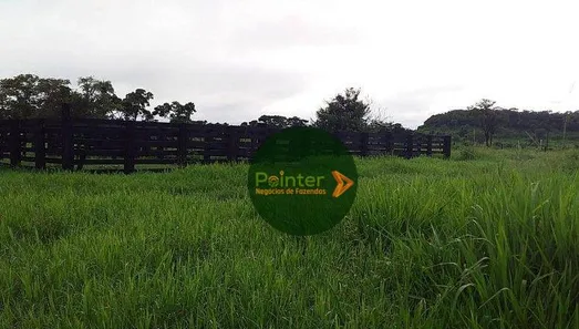 Fazenda / Sítio / Chácara à venda, 3660000m² no , Pedro Afonso