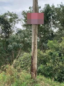 Terreno / Lote / Condomínio à venda, 1000m² no , Piedade
