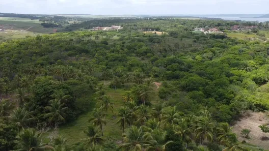 Fazenda / Sítio / Chácara à venda, 29709m² no , Marechal Deodoro