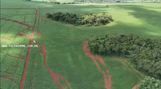 Terreno / Lote Comercial à venda, 192000m² no , Uraí