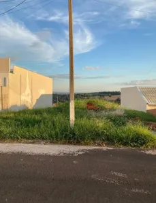 Terreno / Lote / Condomínio à venda, 300m² no Loteamento Residencial Veneza, Apucarana