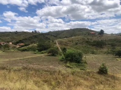 Fazenda / Sítio / Chácara com 3 Quartos à venda, 160000m² no Passira, Passira