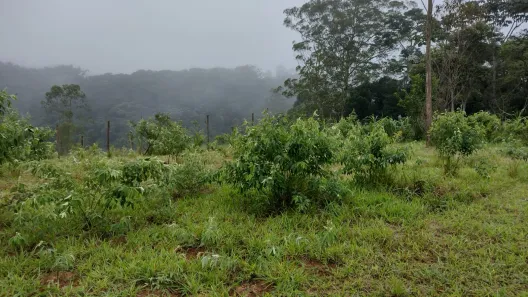 Fazenda / Sítio / Chácara com 4 Quartos à venda, 284m² no Mombaça, Itapecerica da Serra