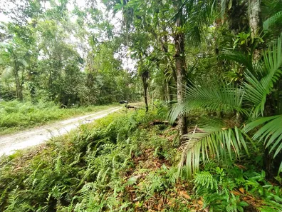 Terreno / Lote / Condomínio à venda, 5000m² no Jardim Ouro Fino, Paranaguá