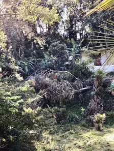 Fazenda / Sítio / Chácara com 1 Quarto à venda, 915m² no Centro, São José dos Pinhais