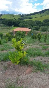 Fazenda / Sítio / Chácara com 2 Quartos à venda, 5938m² no Bom Destino, Santa Luzia
