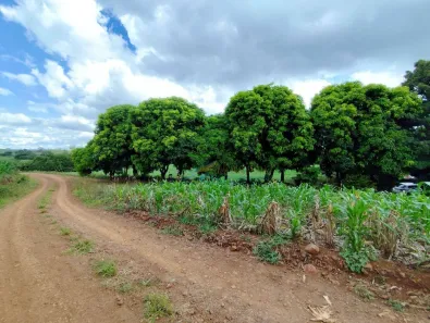 Fazenda / Sítio / Chácara à venda, 96800m² no , Guaraniaçu