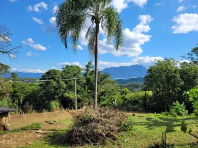 Fazenda / Sítio / Chácara com 3 Quartos à venda, 100000m² no Antonina, Antonina