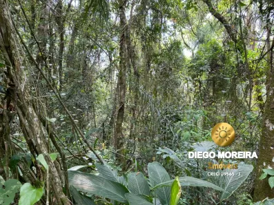 Terreno / Lote / Condomínio à venda, 1025m² no Mato Dentro, Mairiporã