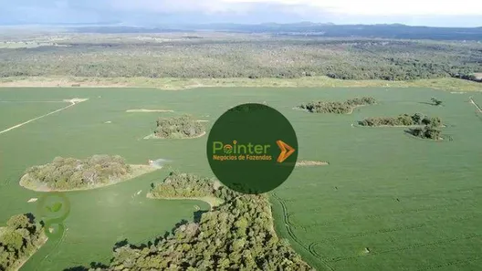 Fazenda / Sítio / Chácara à venda, 7000000m² no Parque Residencial Nova Fronteira, Gurupi