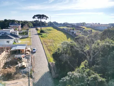 Terreno / Lote / Condomínio à venda, 6889m² no Centro, Campo Largo