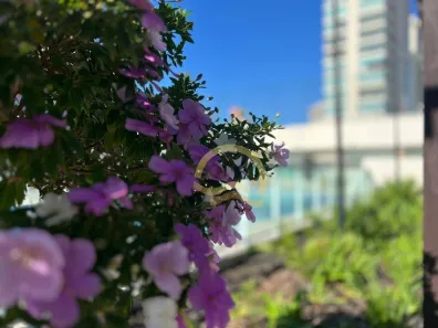 Apartamento com 2 Quartos para alugar, 75m² no Centro, Penha