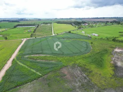 Terreno / Lote / Condomínio à venda, 20000m² no São Luiz do Purunã, Balsa Nova