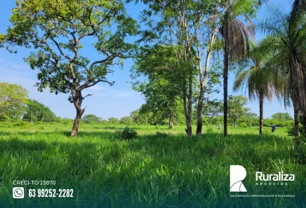 Fazenda / Sítio / Chácara à venda, 150m² no , Paraíso do Tocantins