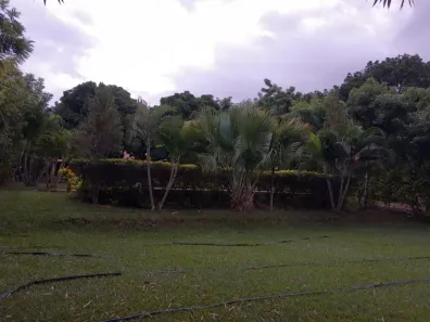 Fazenda / Sítio / Chácara com 2 Quartos à venda, 300m² no Gercino Coelho, Petrolina