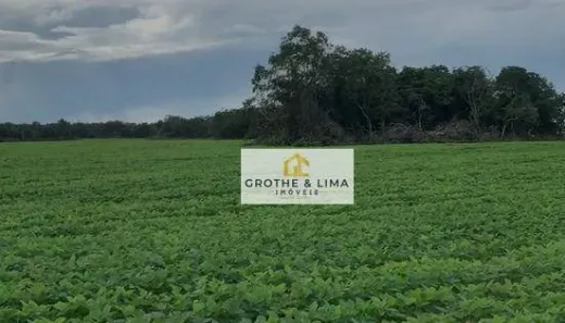 Fazenda / Sítio / Chácara com 10 Quartos à venda, 600m² no Jardim Tropical, Gurupi