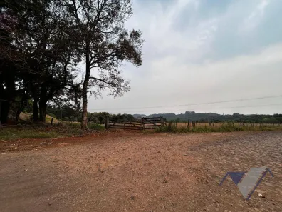 Terreno / Lote / Condomínio à venda, 247900m² no Guaraniaçu, Guaraniaçu
