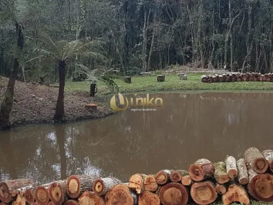 Fazenda / Sítio / Chácara com 4 Quartos à venda, 120m² no Área Industrial Cacaiguera, Campina Grande do Sul