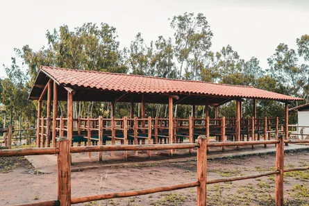 Fazenda / Sítio / Chácara à venda, 350000m² no Centro, Chã Grande