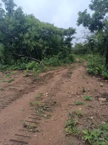 Fazenda / Sítio / Chácara à venda, 1m² no , Paranã