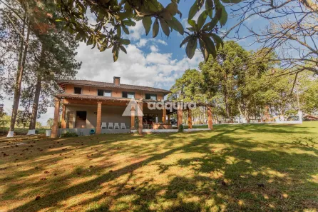 Fazenda / Sítio / Chácara com 3 Quartos à venda, 16640m² no Boa Vista, Ponta Grossa