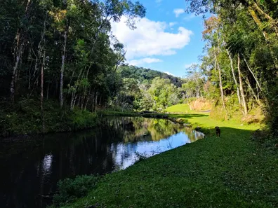 Fazenda / Sítio / Chácara à venda, 72000m² no Colônia Antônio Prado, Almirante Tamandaré