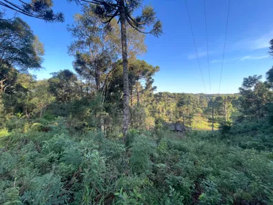 Fazenda / Sítio / Chácara à venda, 5500m² no Pacotuba, Almirante Tamandaré