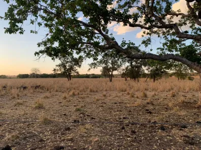 Fazenda / Sítio / Chácara com 5 Quartos à venda, 407m² no Área Rural de Gurupi, Gurupi