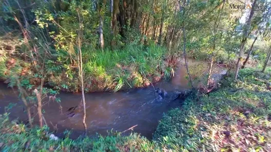 Fazenda / Sítio / Chácara à venda, 32800m² no , Tijucas do Sul