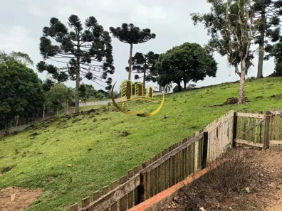 Fazenda / Sítio / Chácara com 4 Quartos à venda, 210m² no Palmitalzinho, Quatro Barras