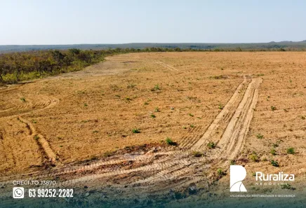 Fazenda / Sítio / Chácara à venda, 1703m² no , Ponte Alta do Tocantins