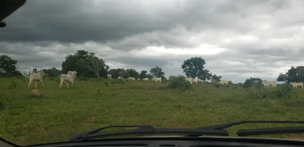 Fazenda / Sítio / Chácara à venda, 690m² no , Padre Bernardo