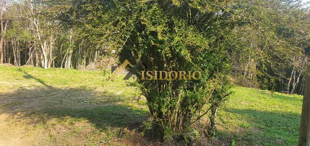 Terreno / Lote / Condomínio à venda, 20000m² no Centro, Campo Largo