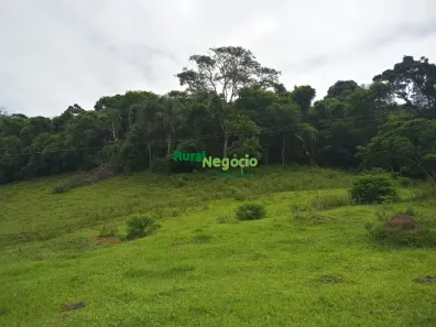 Fazenda / Sítio / Chácara com 3 Quartos à venda, 370000m² no Jardim Jalisco, Resende