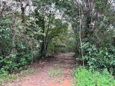 Fazenda / Sítio / Chácara com 1 Quarto à venda, 480m² no , Pedro Afonso